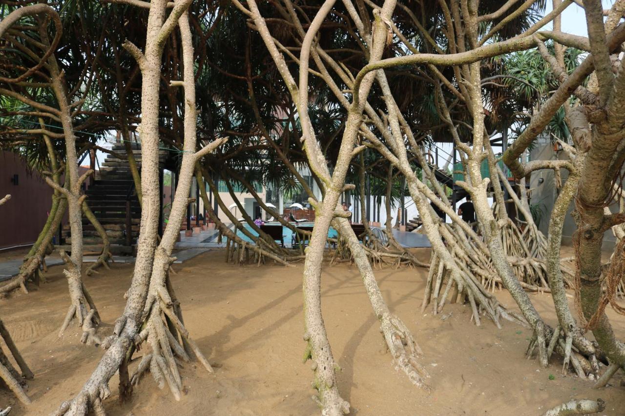 Saprin Beach Resort Uswetakeiyawa Eksteriør bilde